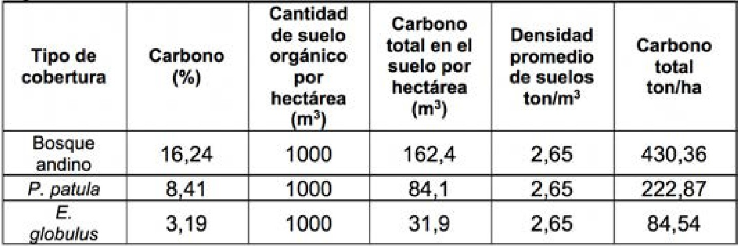 Producción
total de carbono a en 10 cm suelo en bosque andino, plantación de P. patula y
plantación de E. globulus.