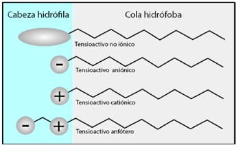 Clasificación agentes surfactantes