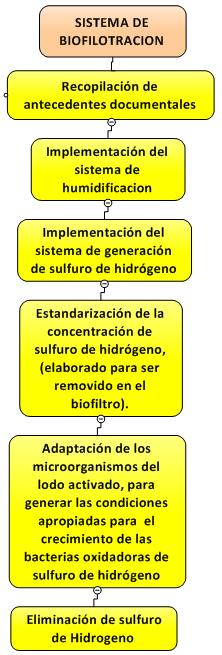 Etapas de
la investigación 

 