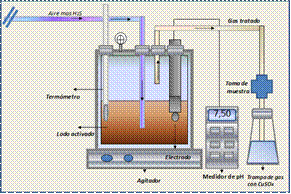 Etapas de la investigación