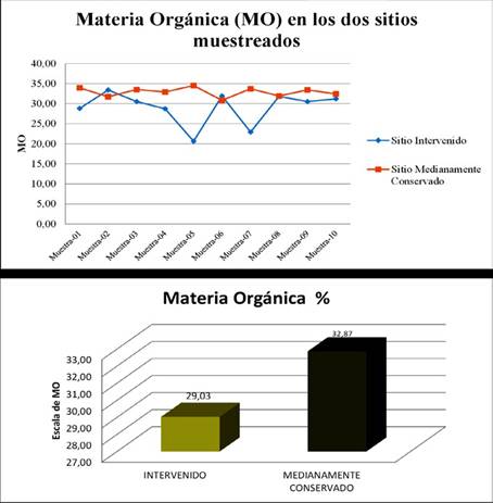  Medici&oacute;n de % MO en el sitio intervenido y
medianamente intervenido