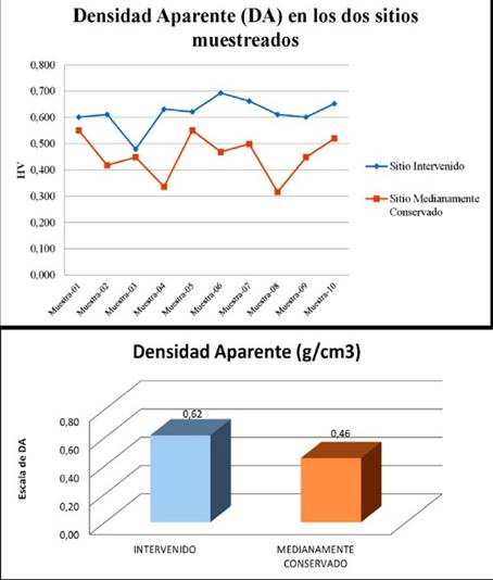 Medici&oacute;n de Densidad Aparente en el sitio
intervenido y medianamente intervenido