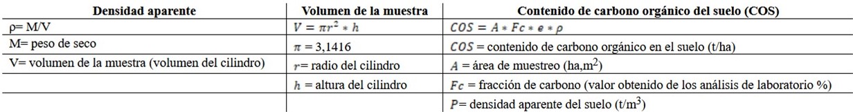 Procedimiento para medir la fijaci&oacute;n de carbono en suelos de humedal