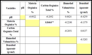 An&aacute;lisis de
correlaci&oacute;n para el sitio intervenido