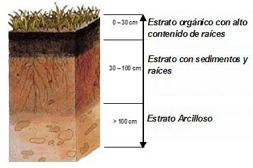 Perfil
estratigráfico