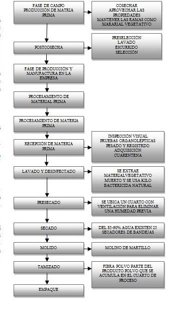Etapas del proceso de producción