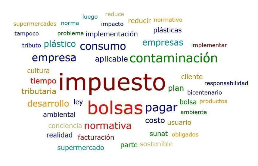 Nube de palabras, lo más resaltante
de la investigación