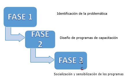 Fases de la investigación