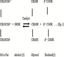 Reacción de transesterificación de ácidos grasos- Simulation of Jatropha Biodiesel using SuperPro Designer