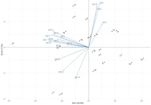 Dimensiones de las variables utilizadas en el estudio para el a&ntilde;o 2023