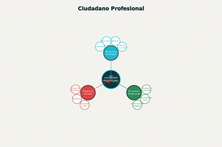 Esquema conceptual de la categor&iacute;a ciudadano profesional