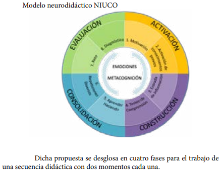 Modelo neurodidáctico NIUCO