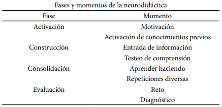 Fases y momentos de la neurodidáctica