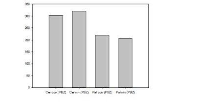 Figure 6. Number of panicles per plant