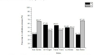 Figura 5. Porcentaje de individuos arvenses con
    ciclo de vida anual (A) y perenne (P) presentes en el estrato bajo y banco
    de semillas del suelo en plantaciones de teca de la zona central del litoral
    ecuatoriano