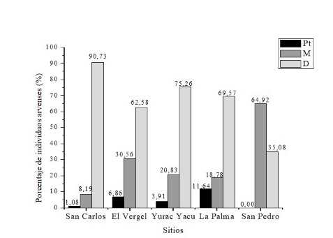 Figura 8. Porcentaje de individuos arvenses con
    clase pteridofita (Pt), monocotiled&oacute;nea (M) y dicotiled&oacute;nea (D) presentes
    en el estrato bajo y banco de semillas del suelo en plantaciones de teca de
    la zona central del litoral ecuatoriano.     Importar tabla      

 