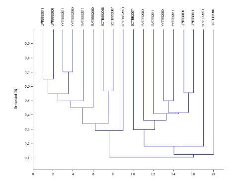 Figura 9. Agrupaci&oacute;n de los sitios de estrato bajo y banco de
    semillas del suelo mediante el an&aacute;lisis cl&uacute;ster.