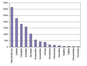 Abundancia de
las principales larvas de peces/10m2 demersales en crucero T 05/11/01D.