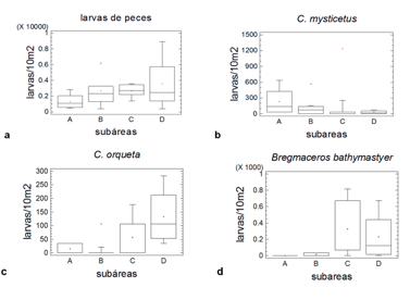 Variación de abundancia de larvas de peces por subáreas:a) total de larvas de
peces en la columna de agua, b) larvas de C.
mysticetus, c) larvas de C. orqueta,
d) larvas de Bregmaceros bathymaste
en aguas subsuperficiales, durante crucero T 05/11/01 D.