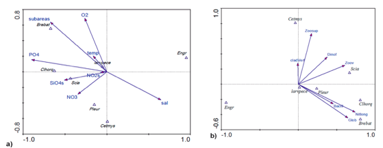 a) Interrelaciones entre especies frecuentes
de larvas de peces, con parámetros físico-químicos en aguas costeras durante
crucero T05/11/01D. Las abreviaturas corresponden a: Engr: Engraulidae; Brebat:
Bregmaceros bathymaster; larvpece:
larvas de peces; Clhorq: Clhoroscombrus
orqueta; Scia: Sciaenidae; Pleur: Pleuronectiformes; Cetmys: Centengraulis mysticetus; sal:
Salinidad; NO3: Nitratos; SiO4s: Silicatos; PO4: Fosfatos; O2: Oxígeno; temp:
Temperatura; NO2: Nitritos b) Interrelaciones entre especies frecuentes de
larvas de peces, con parámetros bióticos en aguas costeras durante crucero
T05/11/01D. Las abreviaturas de los parámetros bióticos corresponden a cladVert: cladóceros; Zoosup: zooplancton
superficial: Dinof: dinoflagelados; zoov: zooplancton estratificado; Nitlong: Nitchzchia longuissima; Bacill:
diatomeas; Glob: Globorotalia menardii.