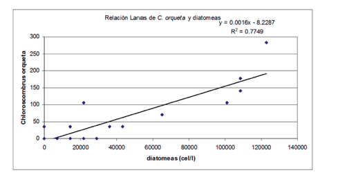 Relación larvas
de Chloroscombrus orqueta - diatomeas.