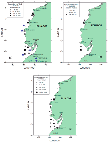 (a) Larvas de Sciànidos: a) Larimus sp., Stellifer sp. y otros sciánidos;
(b) Larvas de Cynoscion sp. (corvina); (c) Larvas de bbb (chuhueco) durante crucero- T 05/11/01 D.