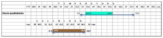 Figura 14