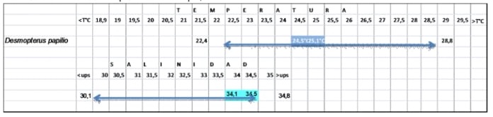Figura 18. 