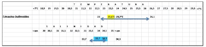 Figura 20