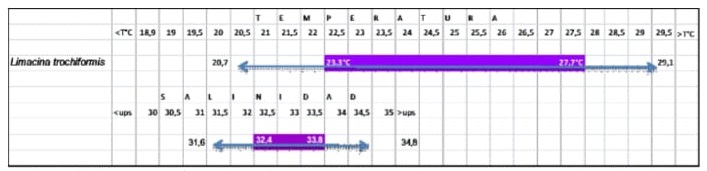 Figura
22