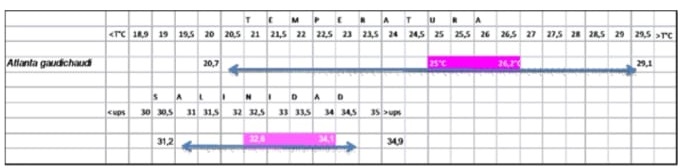 Figura 24