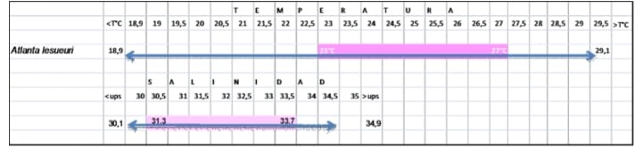 Figura 26