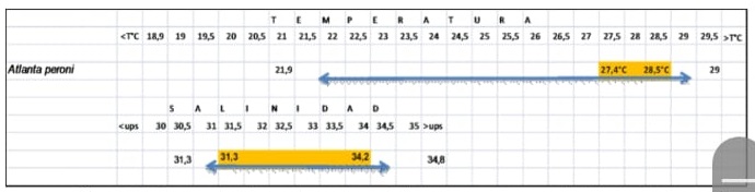 Figura 28.