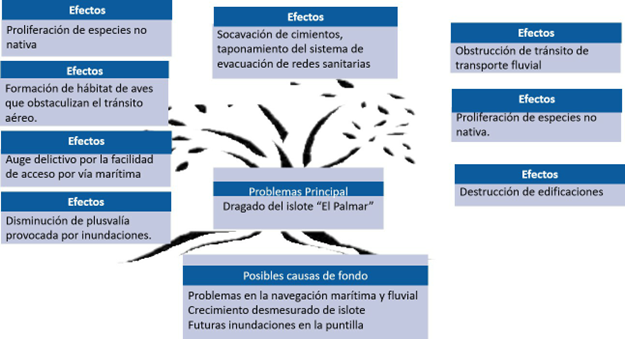 Conflict tree for the
environmental problems of El Palmar Islet.