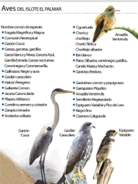Birds that inhabit El Palmar
Islet
