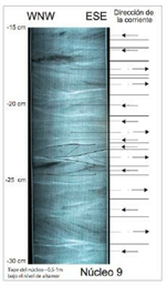 Sedimentological section of the upper part of core 9 observed with
X-radioscopy, showing sediment layers with oblique stratification indicating
alternating currents from WSW and ESE sectors according to the initial
orientation of the core. Source: F.
Dumont, E. Santana, B. Soledispa 2007.