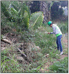 Surveying the coordinates of the study area