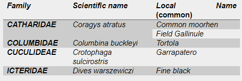 Record of ornithofauna