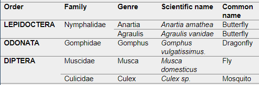 Record of entomofauna