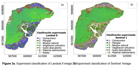 3a. Supervised classification of Landsat 8 image. Figure
3b. Supervised classification of Sentinel 1 image.