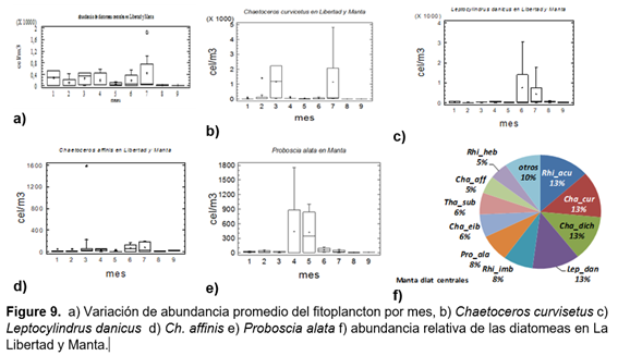 a) Variación de abundancia promedio del
fitoplancton por mes, b) Chaetoceros curvisetus c) Leptocylindrus danicus d) Ch. affinis e) Proboscia alata f) abundancia
relativa de las diatomeas en La Libertad y Manta.