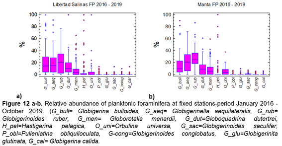 Abundancia relativa
de foraminíferos planctónicos en estaciones fijas-período enero 2016 - octubre
2019. (G_bull= Globigerina bulloides,
G_aeq= Globigerinella aequilateralis, G_rub= Globigerinoides ruber, G_men= Globorotalia menardii, G_dut=Globoquadrina dutertrei, H_pel=Hastigerina pelagica, O_uni=Orbulina universa, G_sac=Globigerinoides saculifer, P_obl=Pulleniatina obliquiloculata, G-cong=Globigerinoides conglobatus, G_glu=Globigerinita glutinata, G_cal= Globigerina calida.
