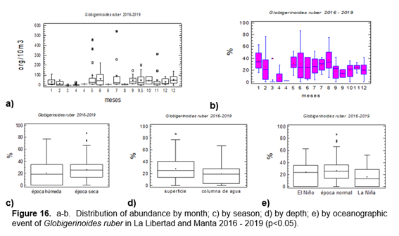 ab. Distribución de la abundancia por mes; c) por temporada; d) por
profundidad; e) por evento oceanográfico de Globigerinoides ruber en La Libertad y Manta 2016 - 2019 (p<0.05).