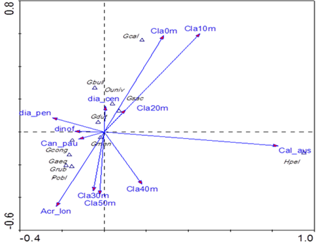 a) Foraminíferos y parámetros ambientales bióticos (Ga= G.aequilateralis,
Gb= G. bulloides, Gca= G. calida, Gr= G. ruber, Gs= G sacculifer, Gcong= G. conglobatus, Gm= G. menardii, Hp = H. pelagica, Gd=
G. dutertrei, Ou= Orbulina universa.menardii, Hp= H pelagica,
Gd= G. dutertrei, Ou= Orbulina universa) (Cal-aus=Calanus
chilensis, Can-pau=Canthocalanus pauper, Acro -lon=Acrocalanus longicornis).