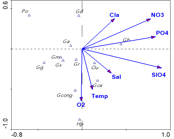 Análisis de correspondencia canónica del ACC entre foraminíferos y
parámetros ambientales en aguas superficiales.