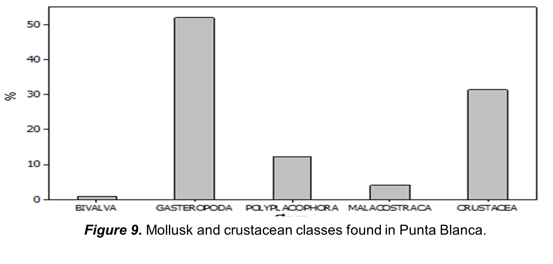 Mollusk and crustacean classes found in Punta Blanca.