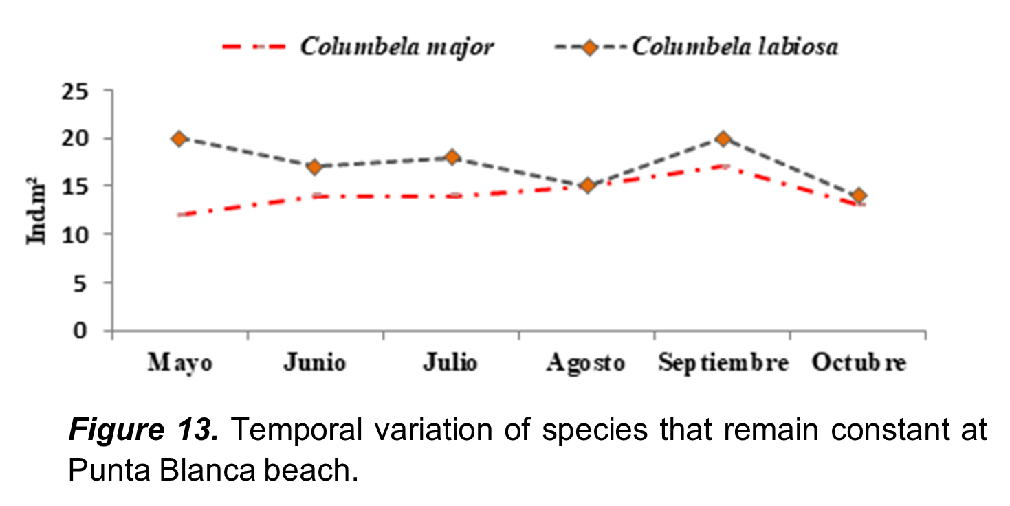 Temporal variation of
species that remain constant at Punta Blanca beach.