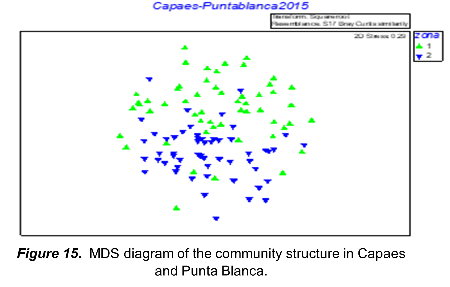 MDS diagram of the community structure in Capaes and
Punta Blanca.
