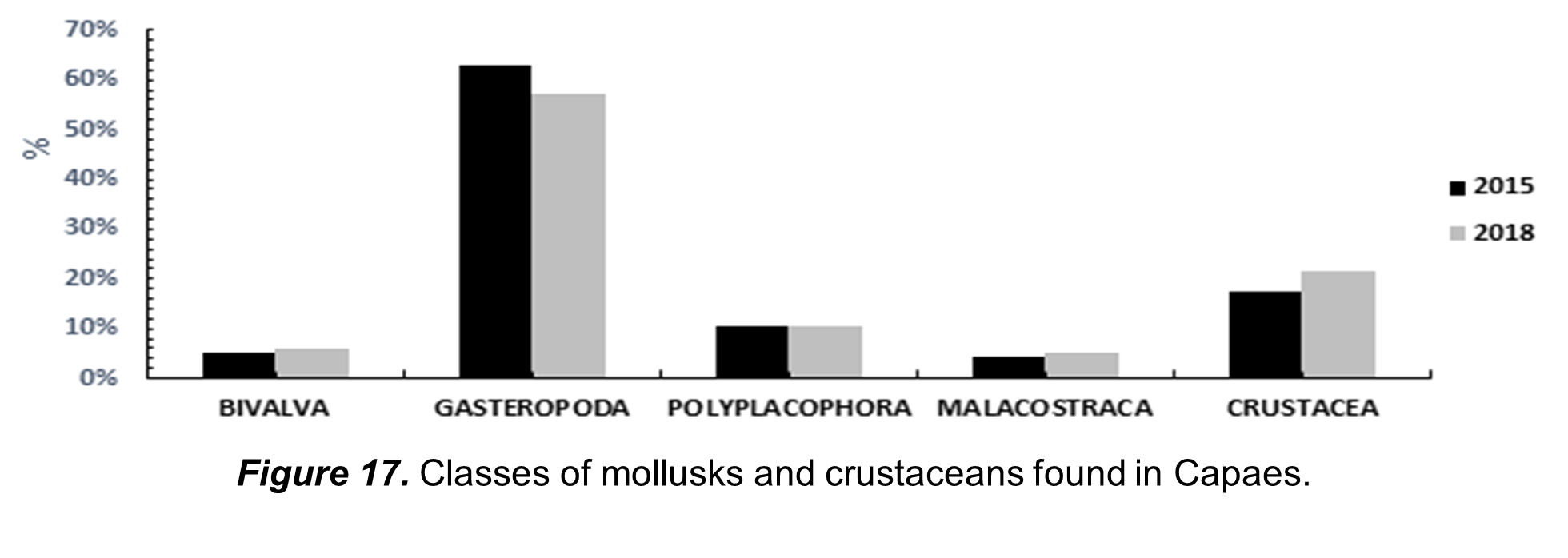 Classes of mollusks and crustaceans found in Capaes