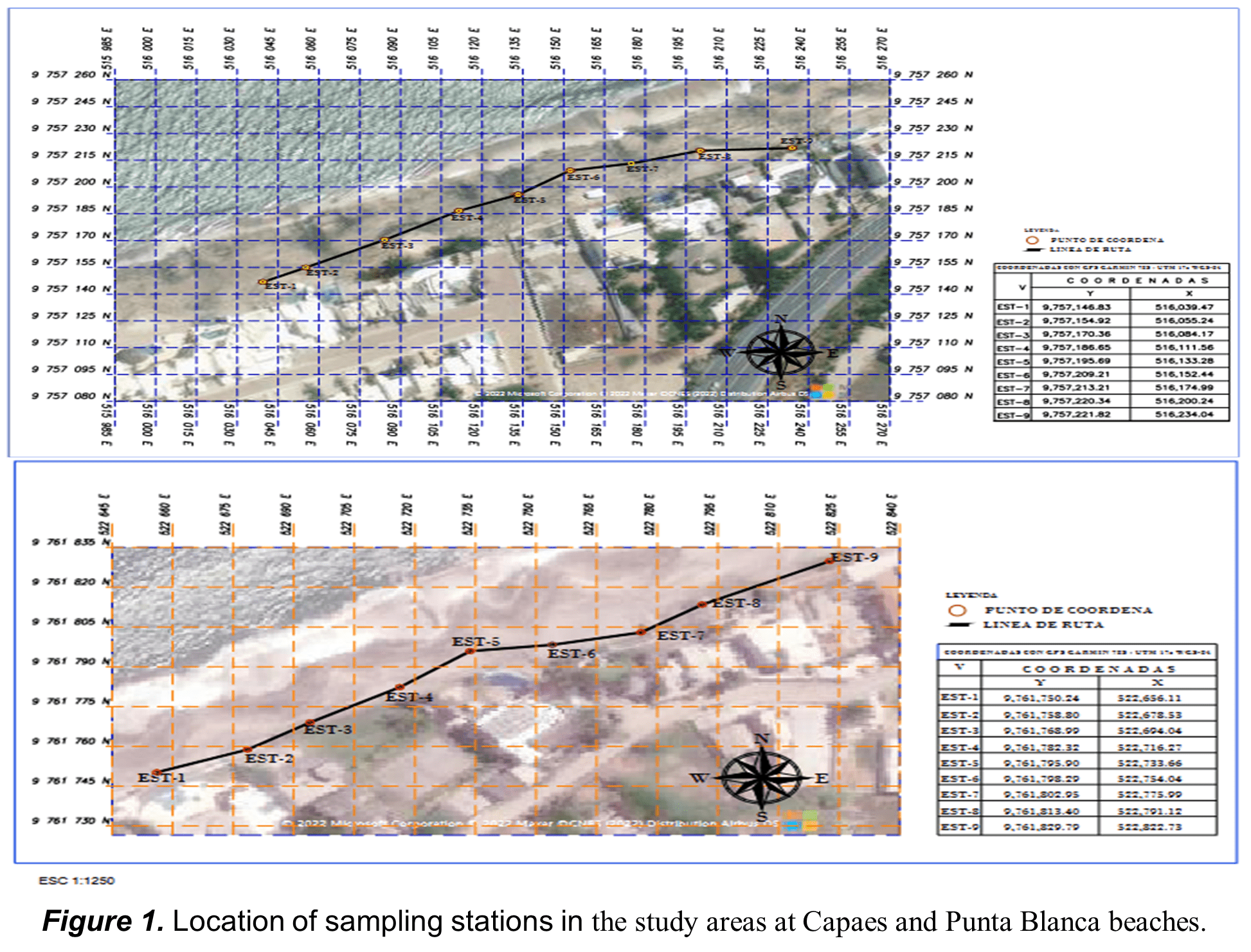 Location of sampling
stations in the study areas at
Capaes and Punta Blanca beaches.